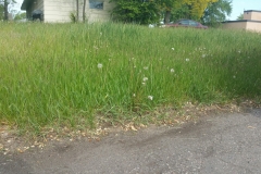 20160520_085705