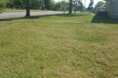 20160520_104616