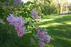 20160514_174425