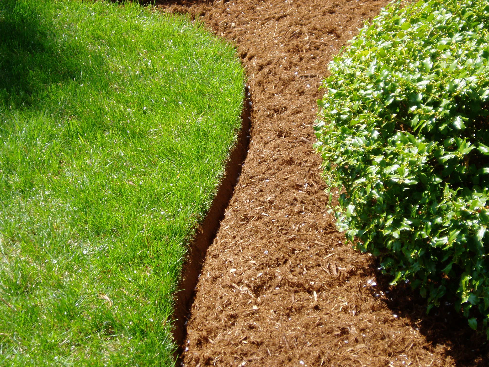 Landscape Edging Andover Mn, Landscaping Andover Mn