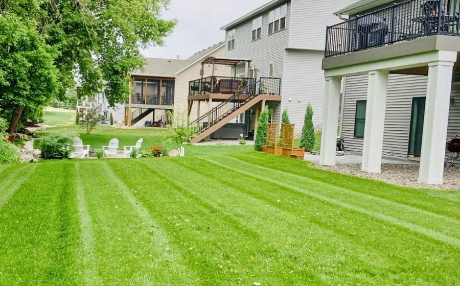 summer lawn care mistakes