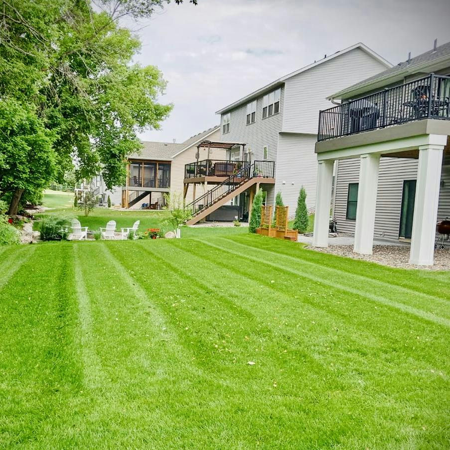summer lawn care tips