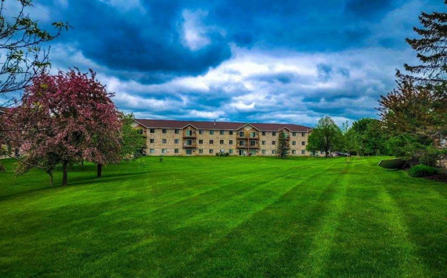 summer lawn care schedule