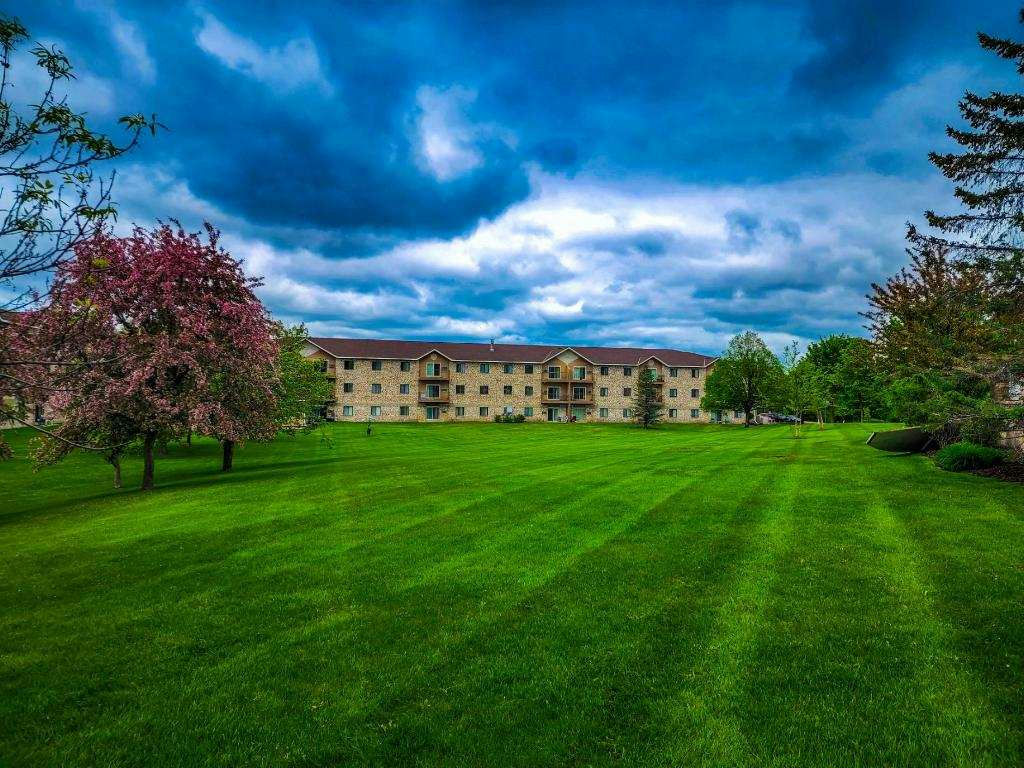 summer lawn care schedule