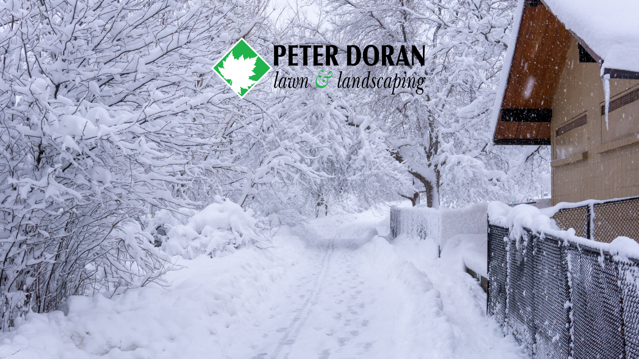 property winter preparation