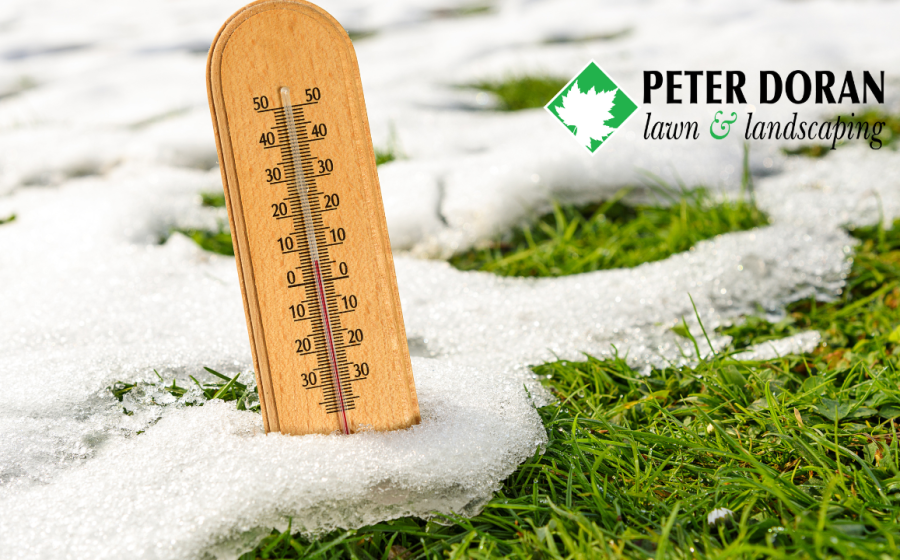 Lawn care after snow melts