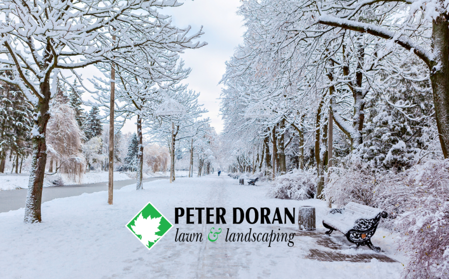 seasonal snow removal packages Minnesota