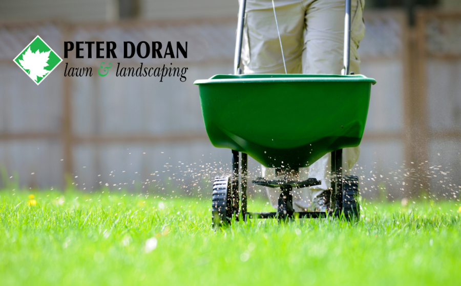 lawn fertilization guide