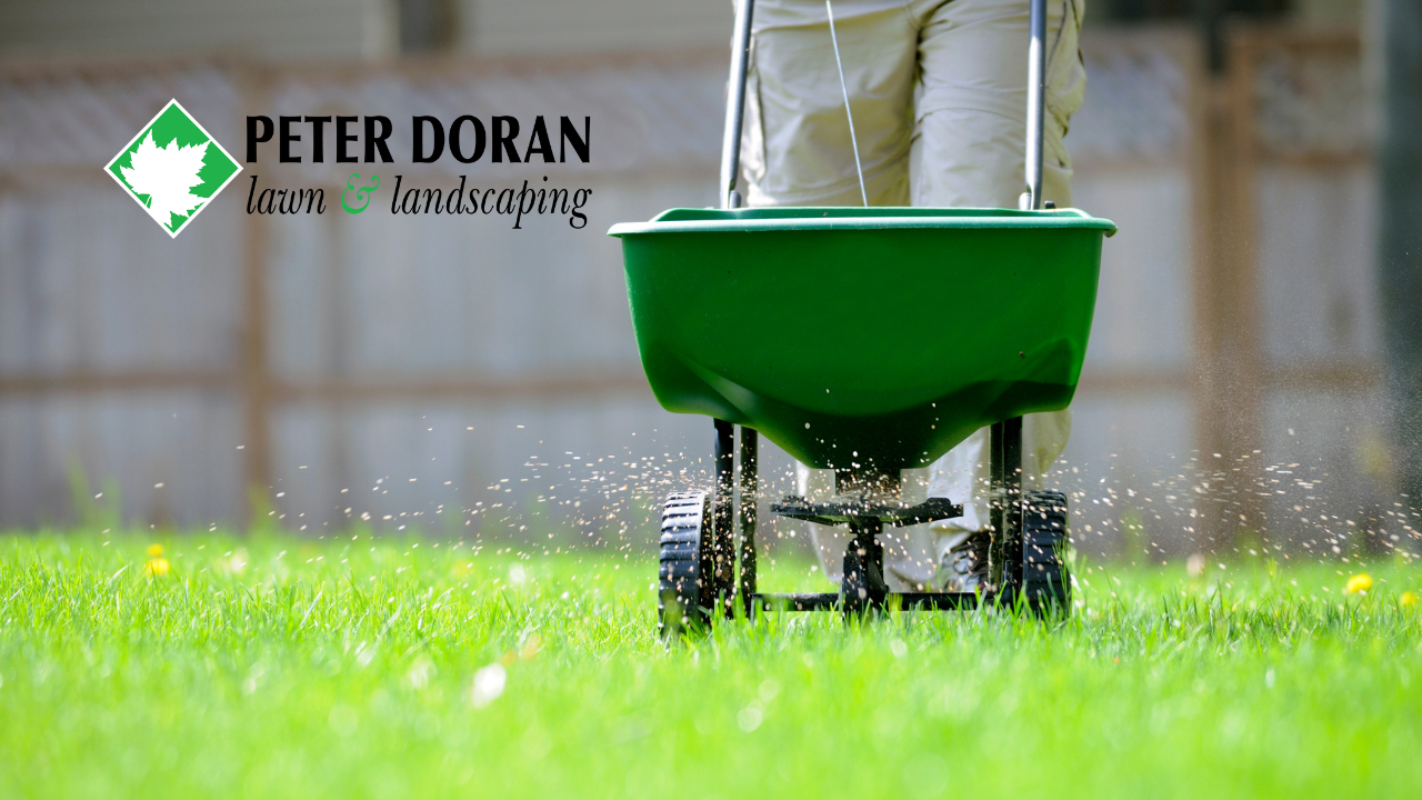 lawn fertilization guide