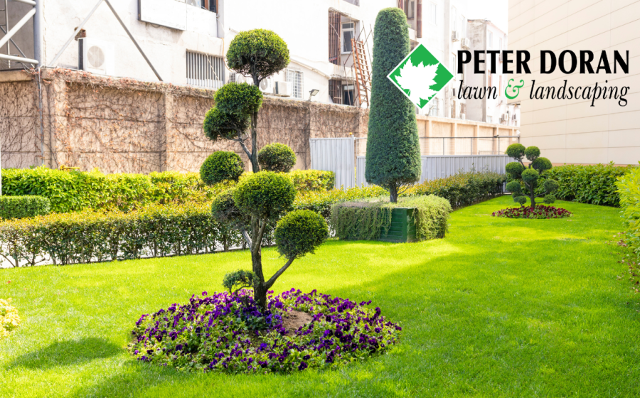best landscaping company near me