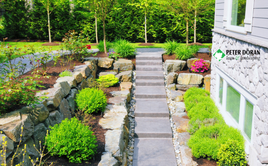 hardscaping vs landscaping