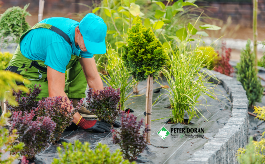 landscaping service cost