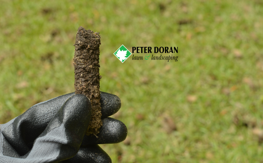 lawn aeration and fertilization