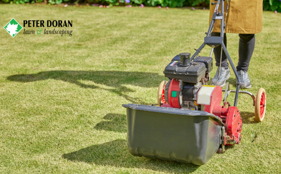 overseeding after aeration