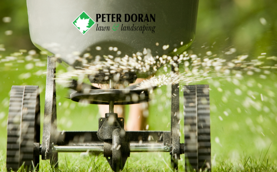 professional lawn fertilization
