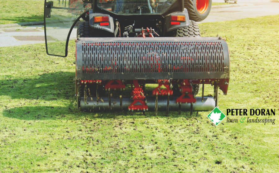 signs lawn needs aeration