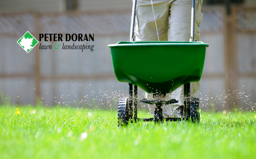 small lawn fertilization services