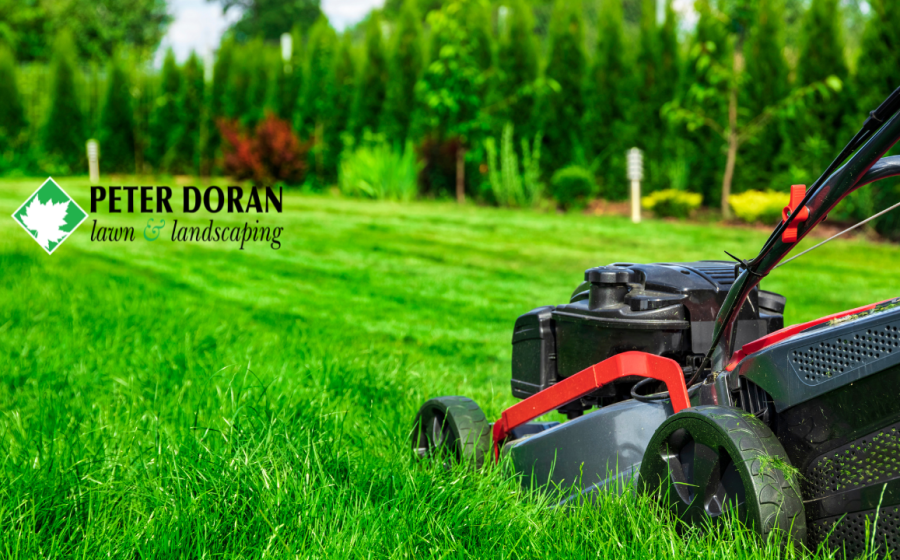 grass cutting height