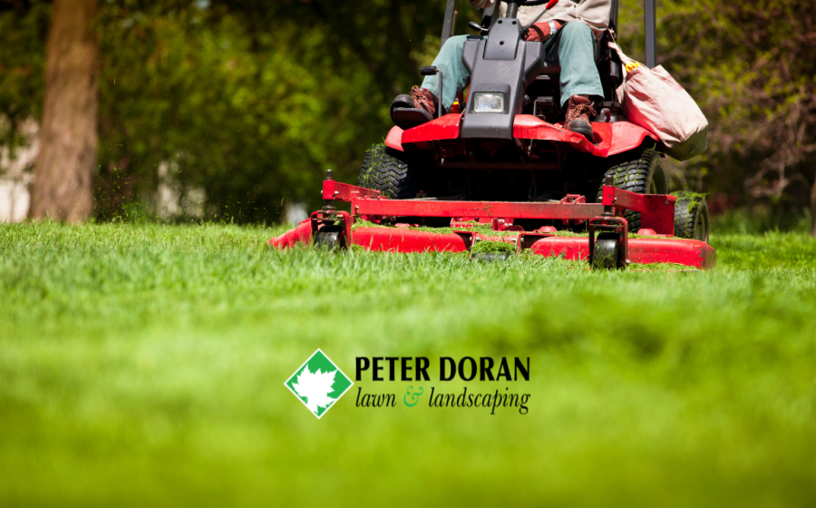 mowing schedule MN