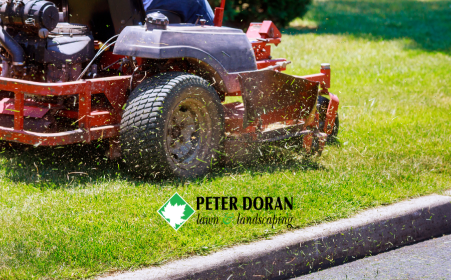 recurring lawn mowing