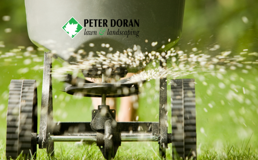 summer lawn fertilizing Minneapolis