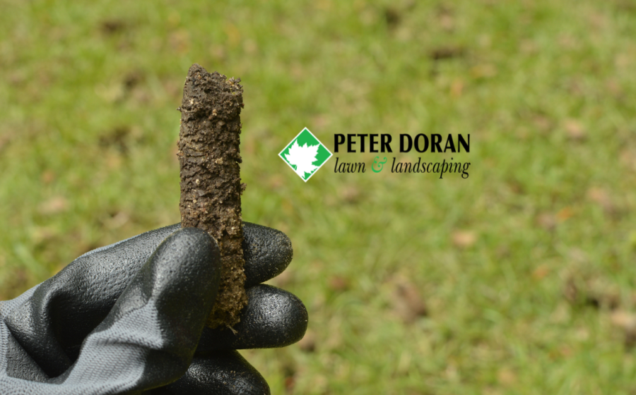 aeration and overseeding lawn revitalization