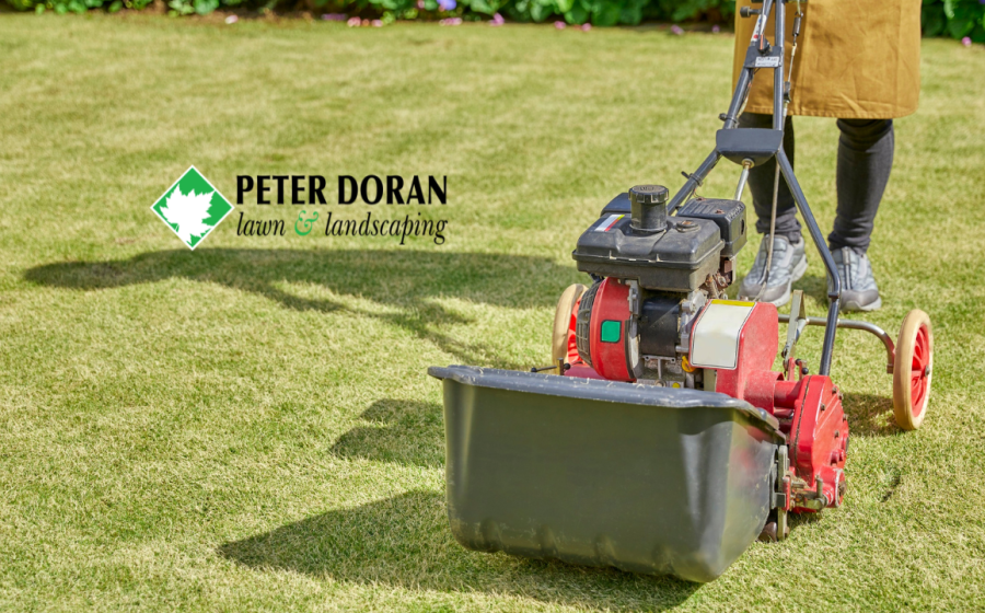 aeration and overseeding readiness