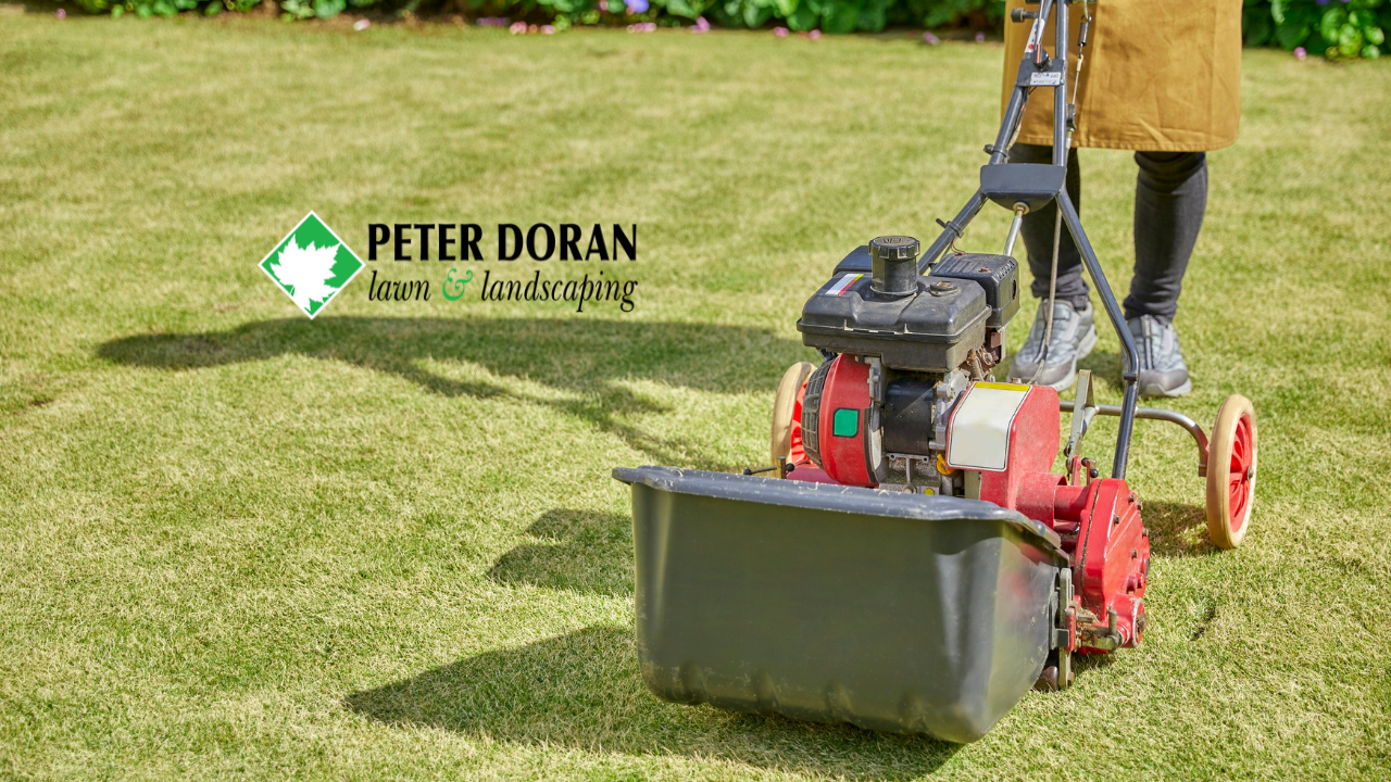 aeration and overseeding readiness