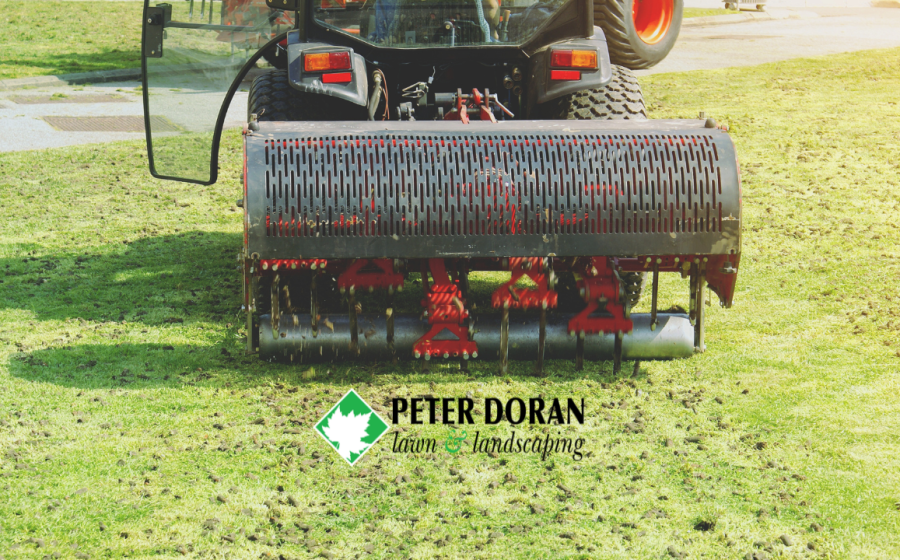 aeration and overseeding timing