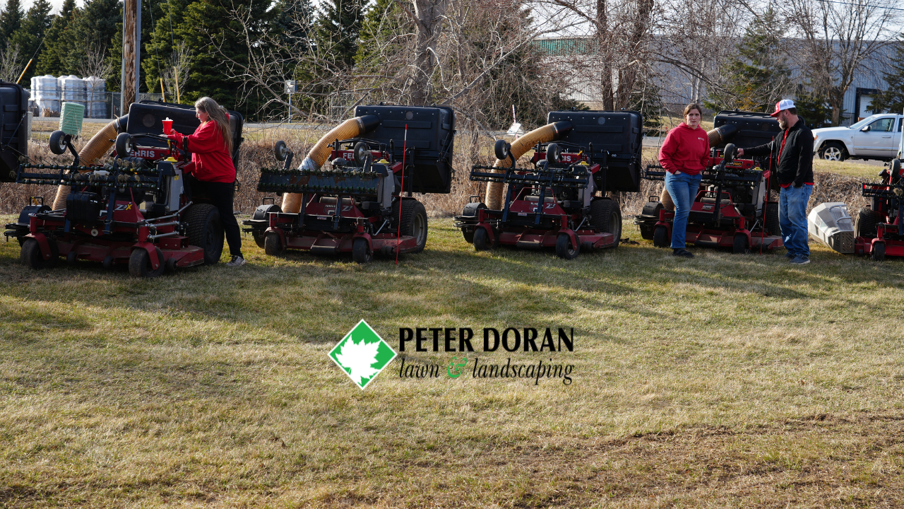 Minneapolis leaf removal cost