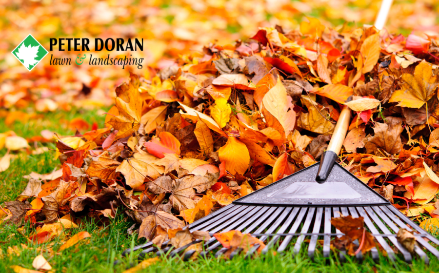 Minneapolis leaf removal methods