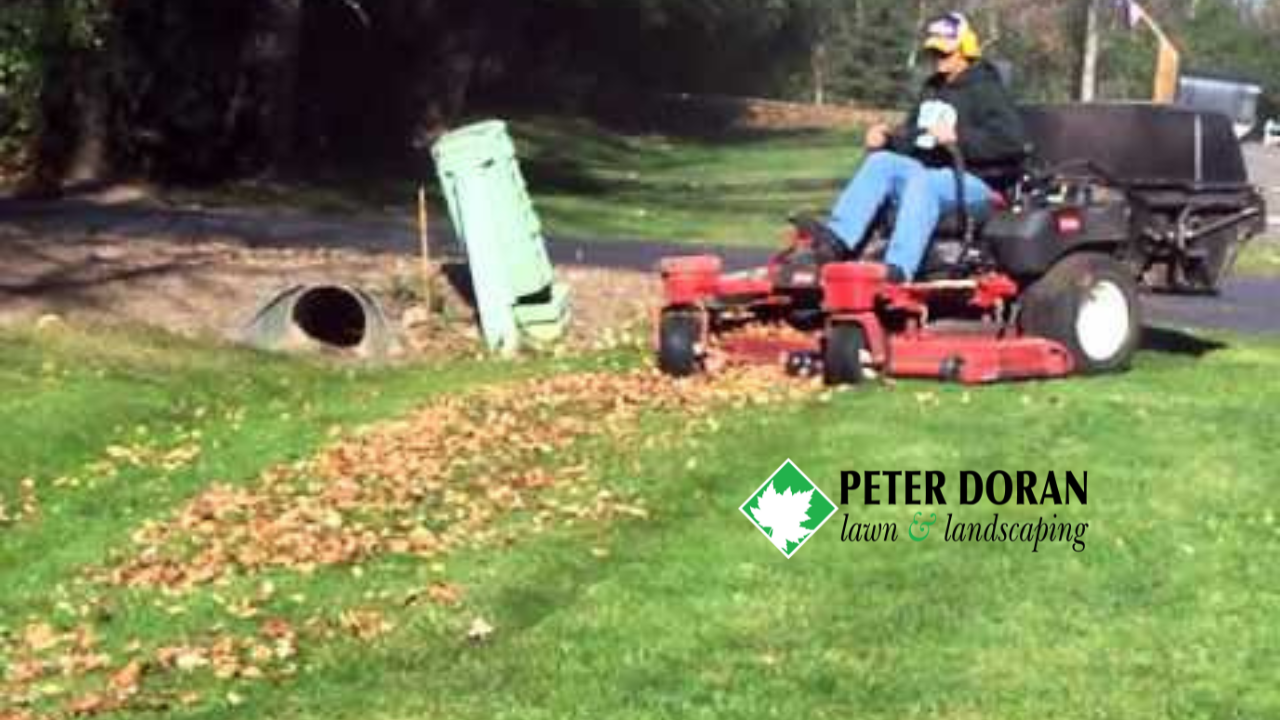 leaf removal benefits Minneapolis