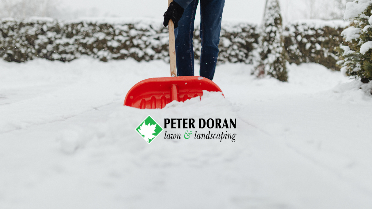 Best snow removal equipment