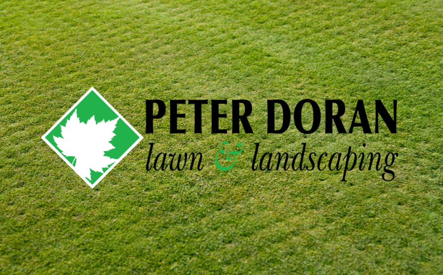 core aeration service