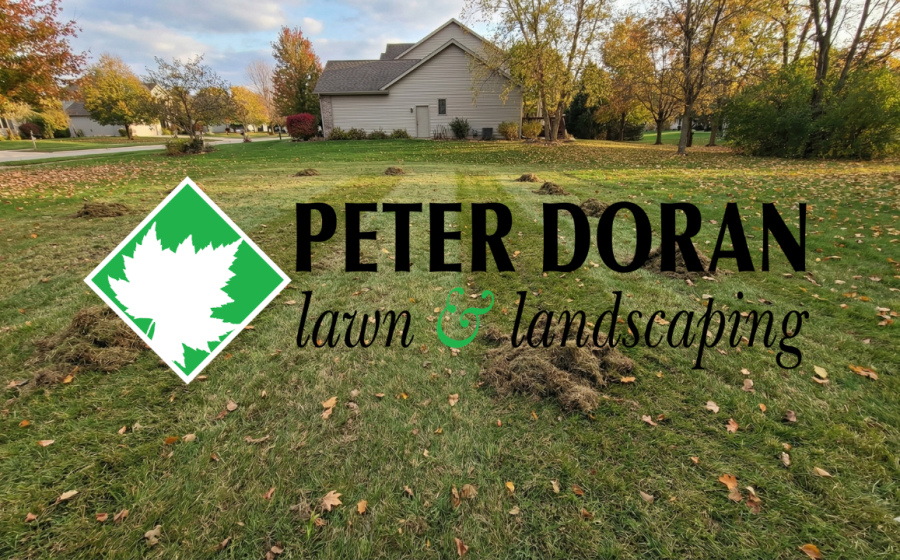 lawn dethatching service